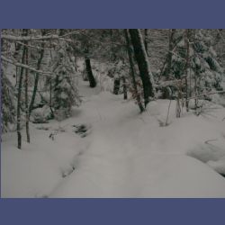 2013-02-02_Rappinschlucht_Lainlalm (014).jpg
